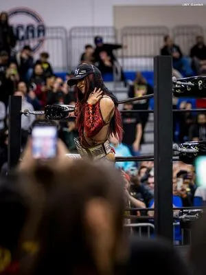 Sasha Banks OnlyFans Leaked Free Thumbnail Picture - #FiX4FtNok8