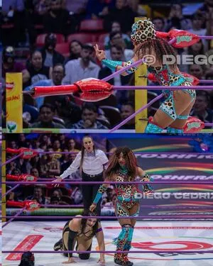 Sasha Banks OnlyFans Leaked Free Thumbnail Picture - #G6q1fFqVPL