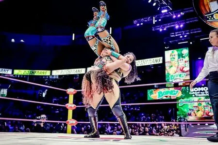 Sasha Banks OnlyFans Leaked Free Thumbnail Picture - #GlzAaqGgYe