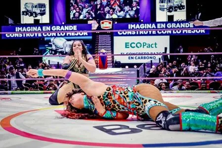 Sasha Banks OnlyFans Leaked Free Thumbnail Picture - #HELMvFFjV6