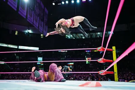 Sasha Banks OnlyFans Leaked Free Thumbnail Picture - #OMSRifSUun