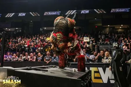 Sasha Banks OnlyFans Leaked Free Thumbnail Picture - #dejDz9uJh1