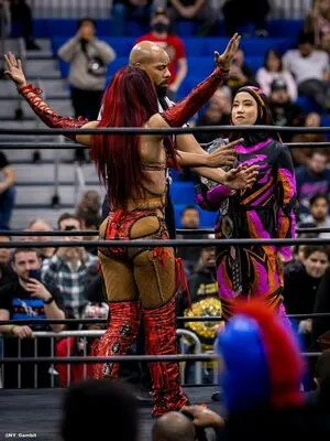 Sasha Banks OnlyFans Leaked Free Thumbnail Picture - #gdhc8Le6m6