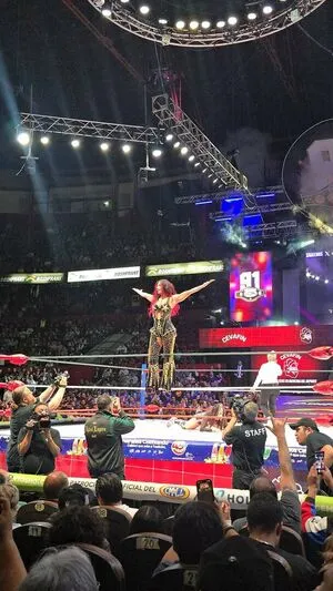Sasha Banks OnlyFans Leaked Free Thumbnail Picture - #hlsHMOunWk