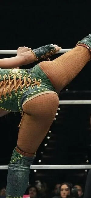 Sasha Banks OnlyFans Leaked Free Thumbnail Picture - #p11o5RMHfL