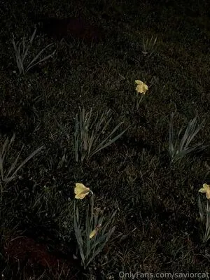 Saviorcat OnlyFans Leaked Free Thumbnail Picture - #JLE2MpjsxY