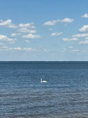 Scarlett Do OnlyFans Leaked Free Thumbnail Picture - #9xfF3gXqtN