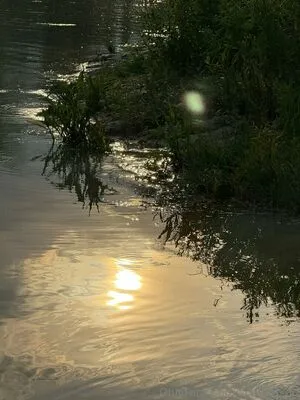 Scarlett Do OnlyFans Leaked Free Thumbnail Picture - #NWWSOooEef