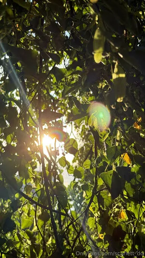 Scarlett Do OnlyFans Leaked Free Thumbnail Picture - #mHth0k3VxY