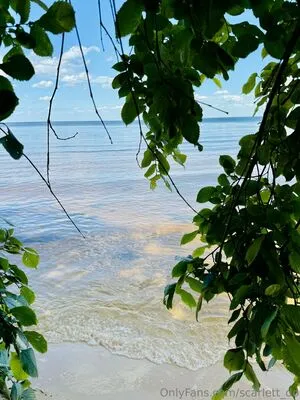 Scarlett Do OnlyFans Leaked Free Thumbnail Picture - #w9PEhKr9VL