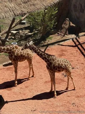 Scarletwolf666 OnlyFans Leaked Free Thumbnail Picture - #0dMjnKnH1p