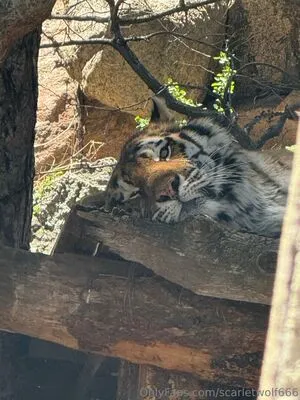 Scarletwolf666 OnlyFans Leaked Free Thumbnail Picture - #EBuixbioGQ