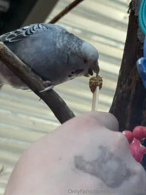 Scarletwolf666 OnlyFans Leaked Free Thumbnail Picture - #EmByGmrHzU