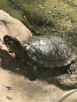 Scarletwolf666 OnlyFans Leaked Free Thumbnail Picture - #UeLrOocdak