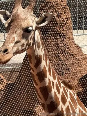 Scarletwolf666 OnlyFans Leaked Free Thumbnail Picture - #bremkhbWFQ