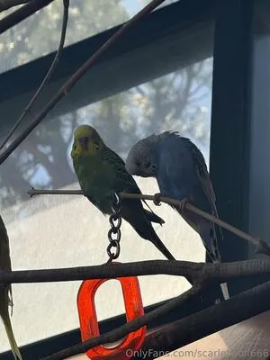 Scarletwolf666 OnlyFans Leaked Free Thumbnail Picture - #ga6intyhAB