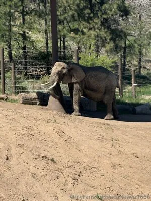 Scarletwolf666 OnlyFans Leaked Free Thumbnail Picture - #kSWoQwPmis