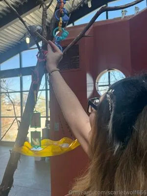 Scarletwolf666 OnlyFans Leaked Free Thumbnail Picture - #pTscV6ohsh