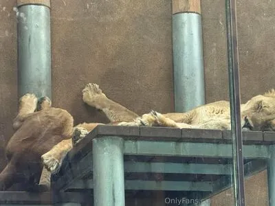 Scarletwolf666 OnlyFans Leaked Free Thumbnail Picture - #pcq5mz77mt