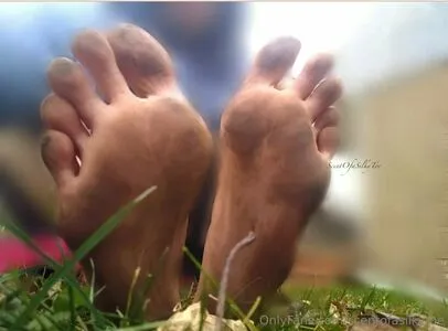 Scentofasilkytoe OnlyFans Leaked Free Thumbnail Picture - #lhQ4gJ7KYQ
