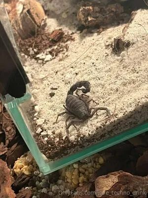 Sco000oby Girl OnlyFans Leaked Free Thumbnail Picture - #3ScRetJCyv