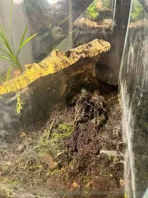 Sco000oby Girl OnlyFans Leaked Free Thumbnail Picture - #5Nsm3FtS51