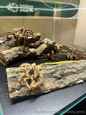 Sco000oby Girl OnlyFans Leaked Free Thumbnail Picture - #dLemA76DLE