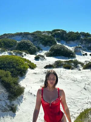 Seasharkcensored OnlyFans Leaked Free Thumbnail Picture - #cznzDecxCa