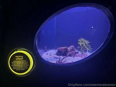 Seemorebianoir OnlyFans Leaked Free Thumbnail Picture - #w4eqtOmTUv