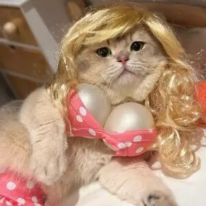 Sehjadi Kayrahh OnlyFans Leaked Free Thumbnail Picture - #A3rMDw4auP