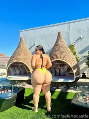 Selenecastle OnlyFans Leaked Free Thumbnail Picture - #SeD5xDPGwC