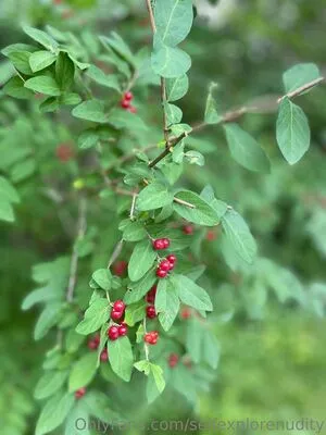 Selfexplorenudity OnlyFans Leaked Free Thumbnail Picture - #3V93kNyUb6