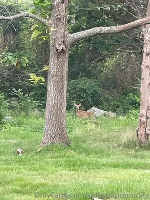 Selfexplorenudity OnlyFans Leaked Free Thumbnail Picture - #hWnmRUlVz1