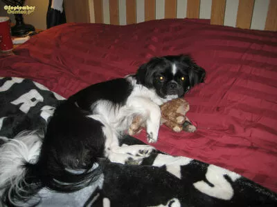 September Carrino OnlyFans Leaked Free Thumbnail Picture - #ueU3RLVQHs