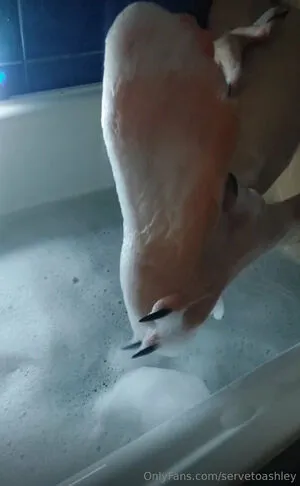 Servetoashley OnlyFans Leaked Free Thumbnail Picture - #i2J5r68zYX