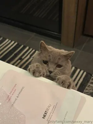 Sexxy Mary OnlyFans Leaked Free Thumbnail Picture - #UaQYR0IM1K