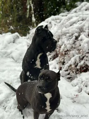 Sexy Ariel OnlyFans Leaked Free Thumbnail Picture - #1bsnshyCp9