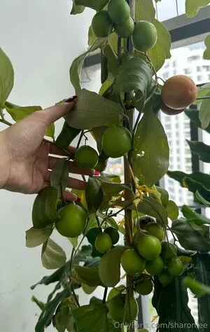 Sharonlee OnlyFans Leaked Free Thumbnail Picture - #GbgE5ymUb2