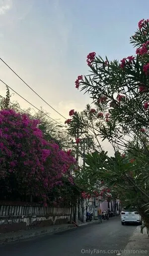 Sharonlee OnlyFans Leaked Free Thumbnail Picture - #S2FPJP6kF3