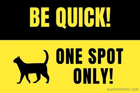 Shayerivers OnlyFans Leaked Free Thumbnail Picture - #iW0muFpDkH