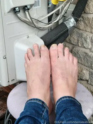 Shemaleallison OnlyFans Leaked Free Thumbnail Picture - #bBQ0HAiTkQ