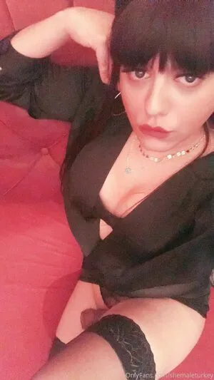 Shemaleturkey OnlyFans Leaked Free Thumbnail Picture - #SLxIt4ep5v