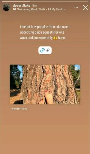 Sher Arar OnlyFans Leaked Free Thumbnail Picture - #PjOhXzElCW