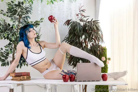 Shibari Kitten OnlyFans Leaked Free Thumbnail Picture - #9ZlHrBA9tD