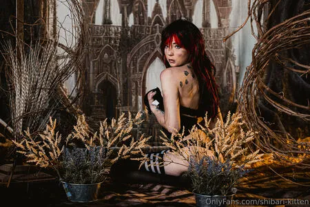 Shibari Kitten OnlyFans Leaked Free Thumbnail Picture - #PGgtJTu7q7