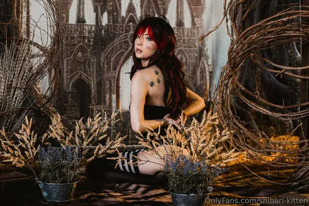 Shibari Kitten OnlyFans Leaked Free Thumbnail Picture - #Q1PaAaMWGB