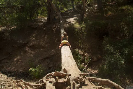 Shiloh Sharada OnlyFans Leaked Free Thumbnail Picture - #4B8fGVUNRN