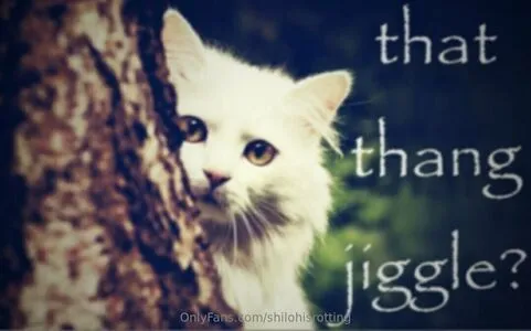 Shilohisrotting OnlyFans Leaked Free Thumbnail Picture - #3Qx66o7Y0B