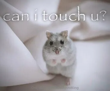 Shilohisrotting OnlyFans Leaked Free Thumbnail Picture - #qCqN393LMT