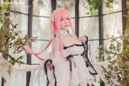 Shiraga Yanko OnlyFans Leaked Free Thumbnail Picture - #Orry6QcPL8